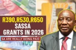 R390, R530, R650 SASSA Grants in 2026